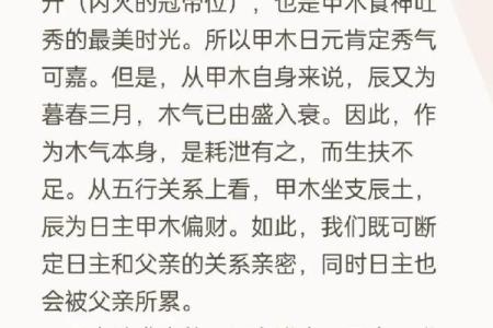 探寻石榴木命与八字命理的碰撞对比,揭示命中注定的不合与相生的智慧