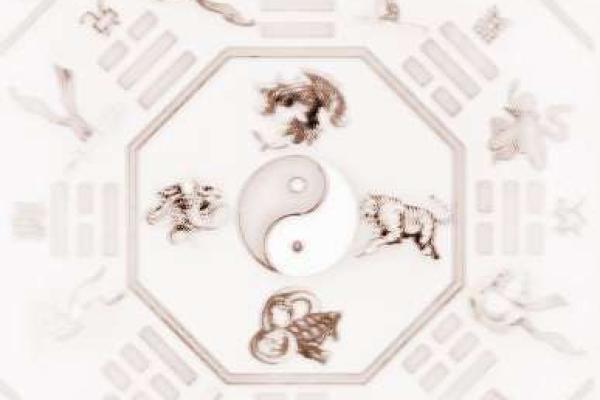 兔年虎命的奥秘：揭示财运与命理的奇妙结合