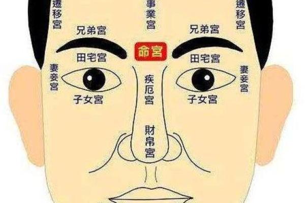 探秘条纹儿子的命运：从相学看个性与前途
