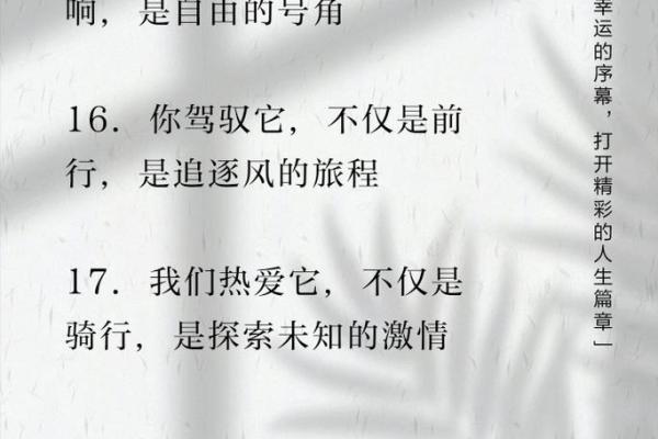 天生就是雄鹰的命：追寻自由与梦想的旅程
