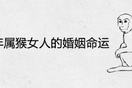 探寻石榴木金猴命的缺失与补救之道,开启命理之旅!