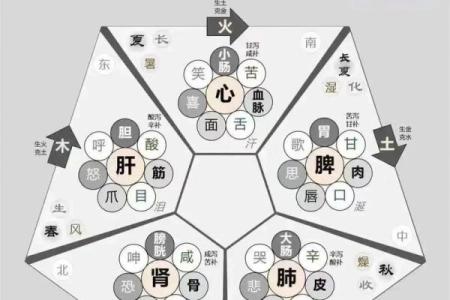 五行分析:1979年出生的命理奥秘与生活智慧