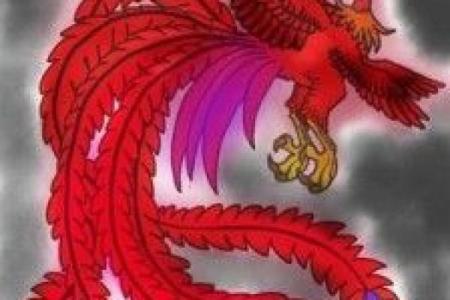 朱雀命理:不适合带朱雀的原因与解读