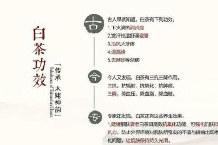 为什么命不好会遗传?探索命运的传承之道