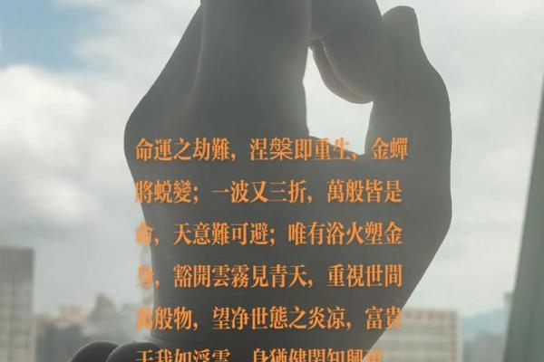 缘起缘灭，万般皆是命——生活的哲思与感悟