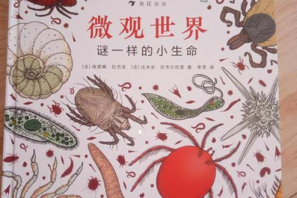 探索生命之谜：如何面对体质多病的挑战
