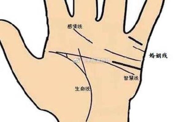 算命中的“劫”的含义解析：命运中的波折与挑战