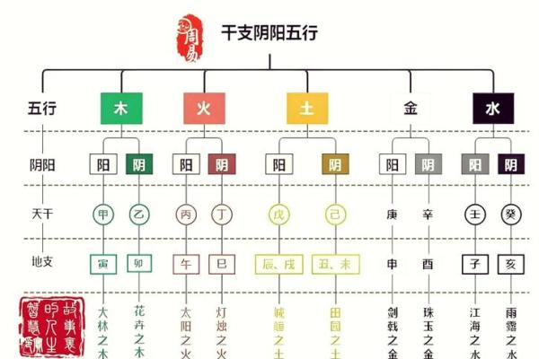 圆的命运：五行之中的奥秘与启示
