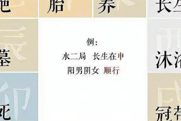 阳女水二局生肖猴的命理解析与人生启示