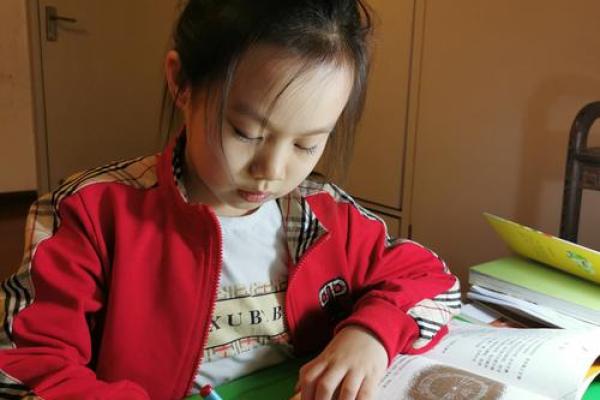 为何我们拼了命地努力？探索背后的驱动力与意义