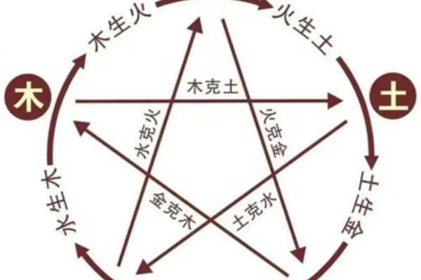 寅时出生的金命人：探索命理与生活的缺失之谜