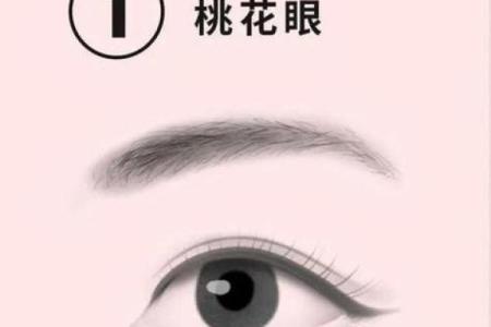 喜鹊命的生肖解析:如何影响我们的命运与生活