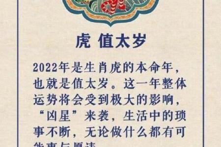 五行与1986年出生日的虎:命理特征与人生启示