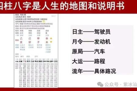探秘戊土命与金命的独特人生与命理交织