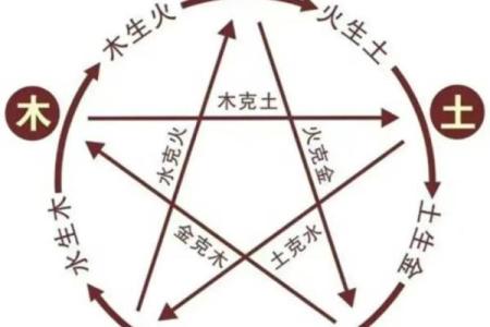 寅时出生的金命人：探索命理与生活的缺失之谜