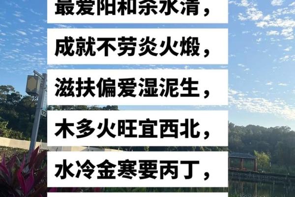 探寻壬水命的贵人缘：八字分析人生中的重要支持者