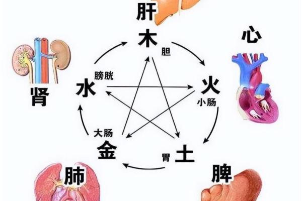 水命与火命的互补关系：如何通过五行调和生活中的元素