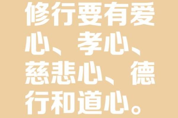 土猪命的人适合的字与命运之道：探索幸福人生的秘密