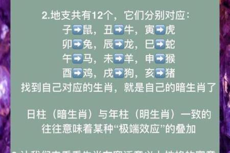 最旺夫命的生肖与日期,揭示幸福婚姻的秘密!
