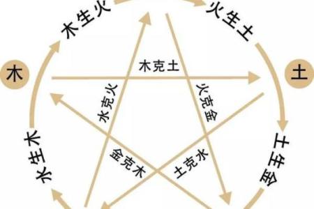 探索命理:为何八字命理中缺木的深意与解读