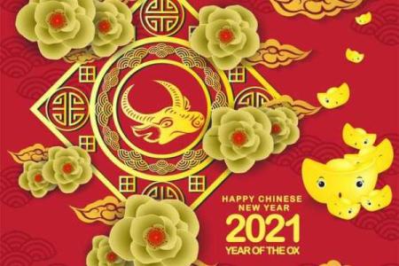为什么八五年是金命的人?揭开命理的奥秘与魅力!
