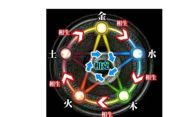 土命与金命的养生之道：最佳宠物选择指南