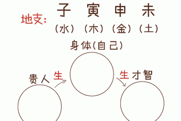 土命与金命的养生之道：最佳宠物选择指南