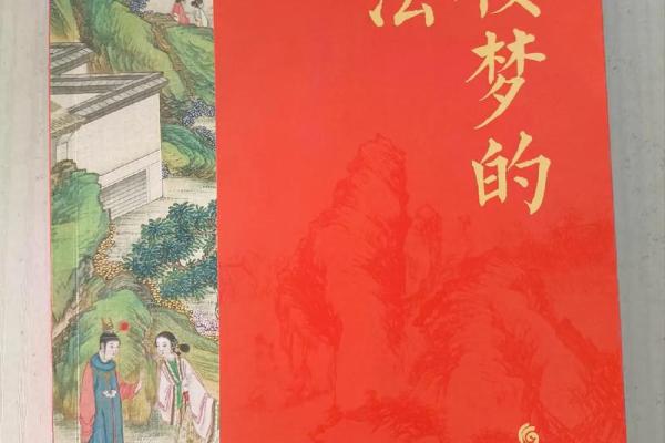 为何有些人嗜书如命，书籍对他们的吸引力何在？