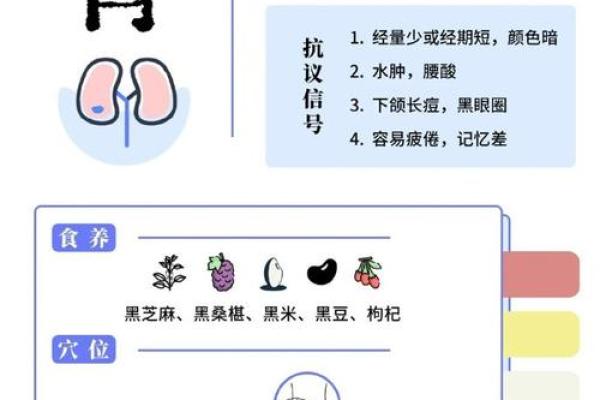 五行八字命格解析：与生肖的神秘联系
