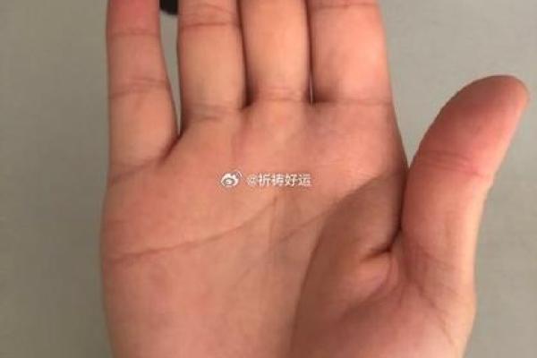 探寻辛巳年癸巳月丙子日命理之奥秘，揭示您的命运密码！