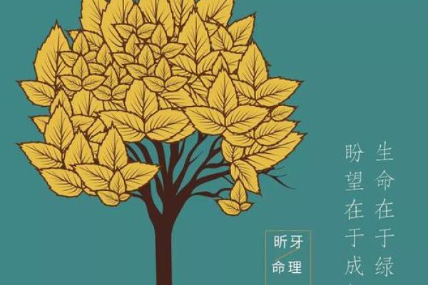 正月十八的生日：如何解读这一特殊日期的命理智慧