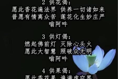 探讨“无后命”与佛家智慧：如何从命运中寻得内心的平静与解脱