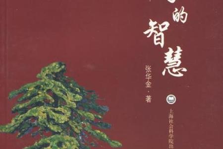 探索三能三无之命:王与我的人生哲学与智慧