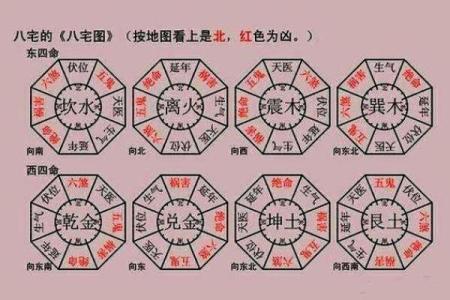午时马的五行属性与命理分析:揭示你的命运之路