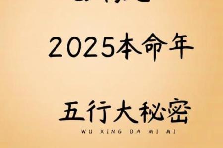 下午出生的宝宝属什么命？探索五行与命运的奥秘！