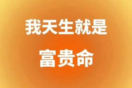 主人代表富贵命，探寻命理与财富的秘密
