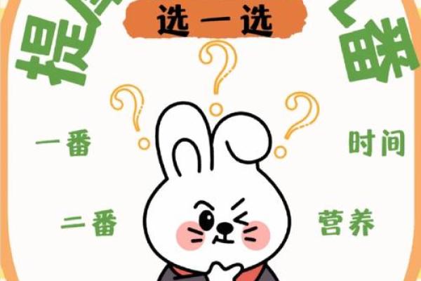 水命兔选手机颜色的智慧之选：让生活更加多彩！