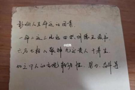 早上九点出生的牛:命运与人生的奇妙旅程