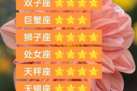 探讨双子座与水瓶座的婚姻:最理想的搭配案例分析