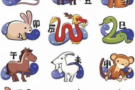 探索属相与命理的奥秘:解读命不和的深层原因与影响
