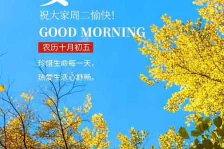 在城市喧嚣中,谁的命更值得珍惜?