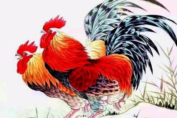 探索属鸡之人的命运与性格：揭示出生年份的奥秘