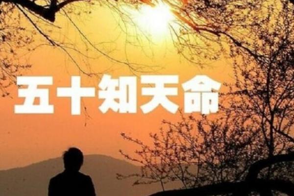 杨柳命与哪些命最相配？探秘命理合拍之道
