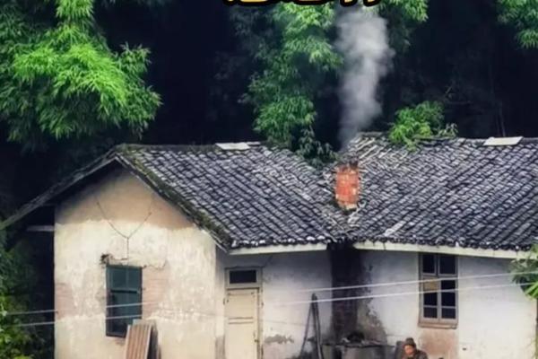 我拼了命想念你：一场无法忘却的爱恋之旅