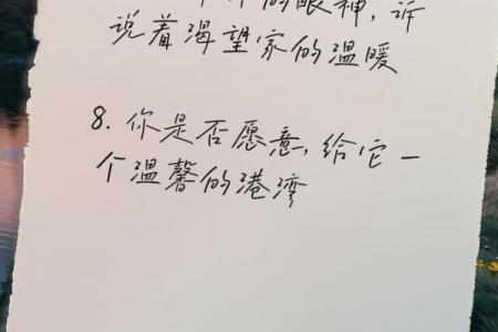 愿意拿命护你的人,真正的挚爱与忠诚