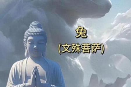 五行属土的兔命格解析:探索兔子的命运与性格特征