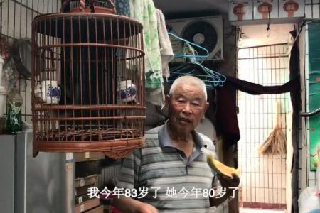 土命人适合养什么鸟类?带你探寻最合适的伴侣!