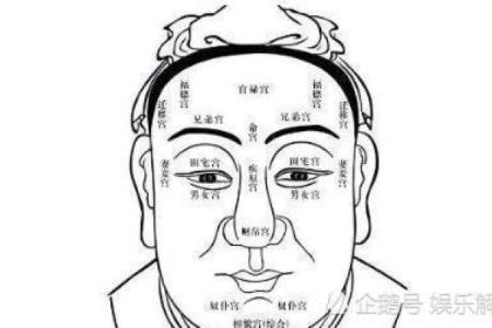 探寻女性面相:揭示凤凰命的秘密与特征