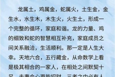 五代同堂：家庭温暖与人际和谐的象征