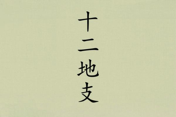 巳午未戌四方轮回，五行命理解玄机！